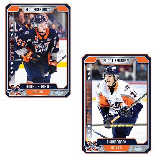 Decade of Fire FULL Trading Card Set