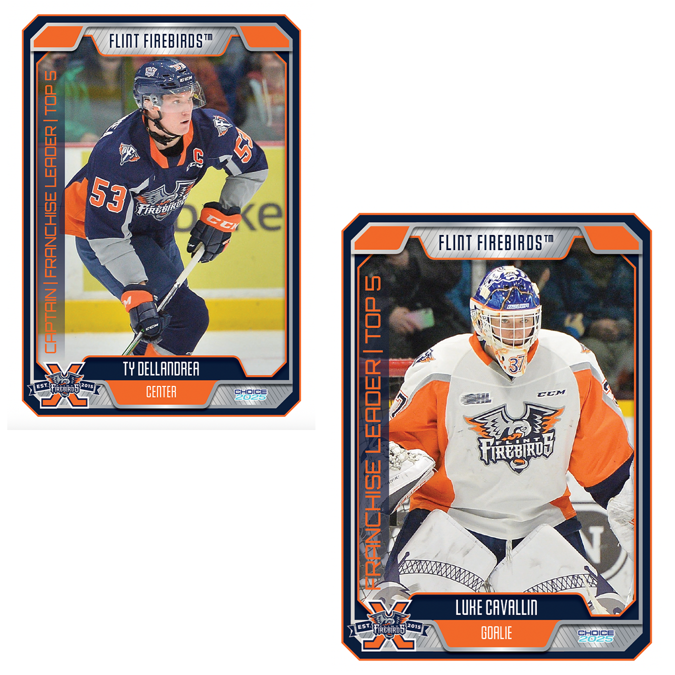 Decade of Fire FULL Trading Card Set