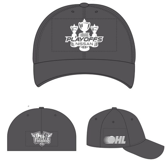 Hew Era Playoff Fitted Hat