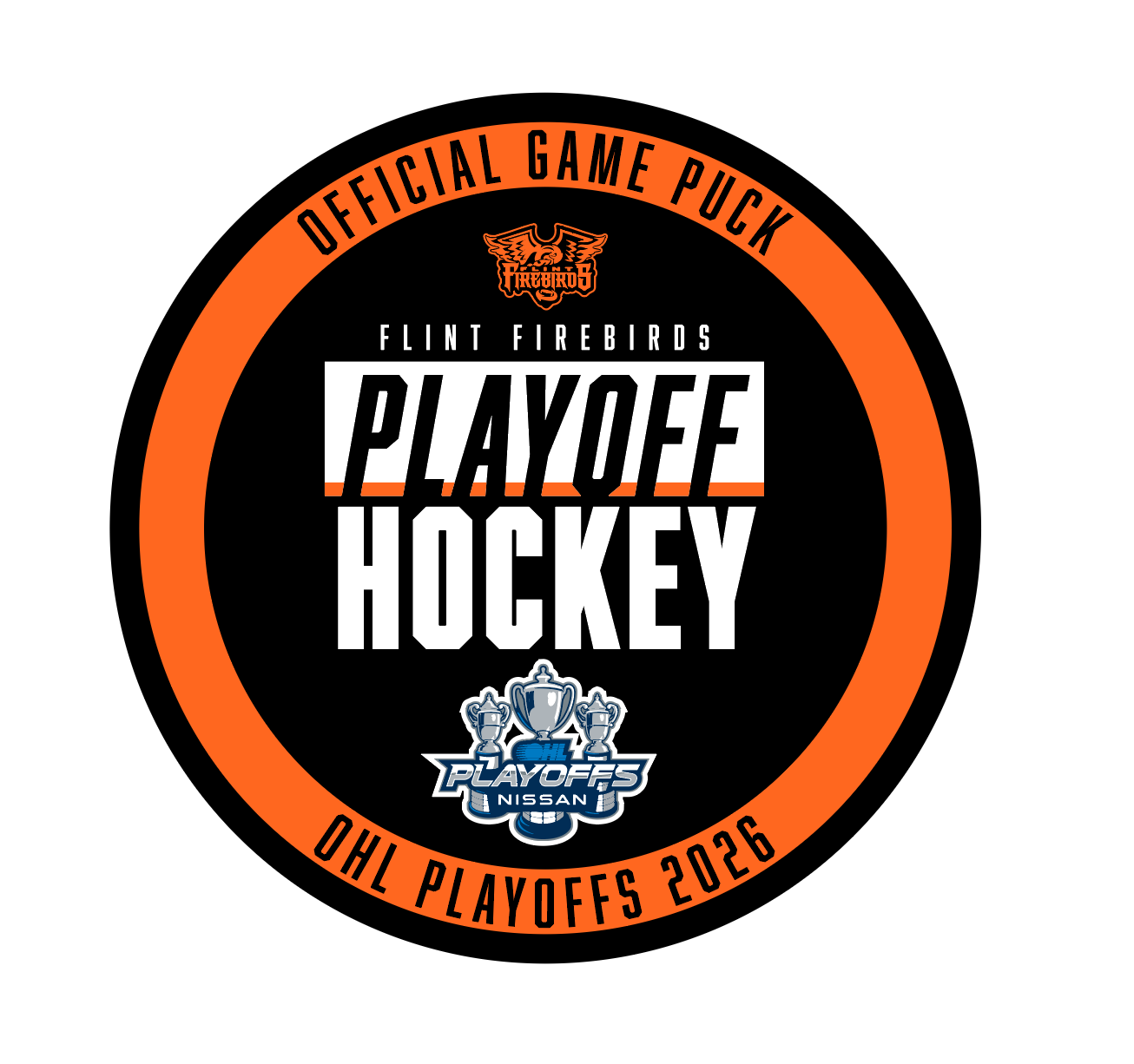 Playoff Puck – The Bird's Nest