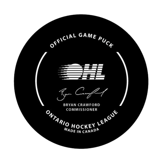 Official Game Puck 2025