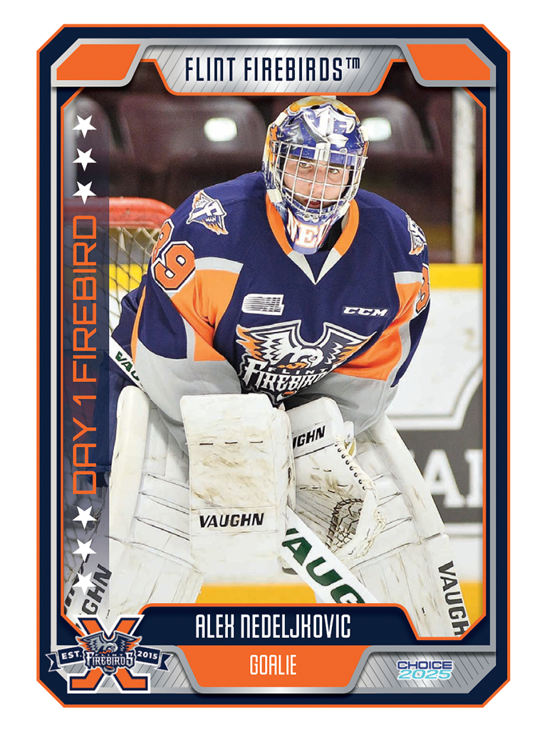 Decade Card A. Nedeljhovic #24