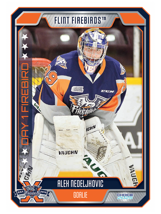 Decade Card A. Nedeljhovic #24